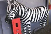 Zoo Rock restaurant