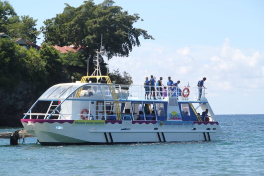 Bateaux à fond de verre avec le Nautilus