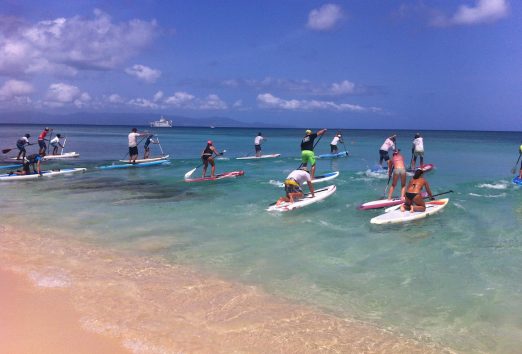 Stand up paddle