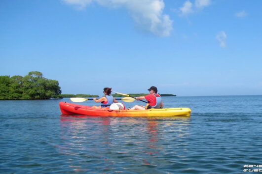 Kayak