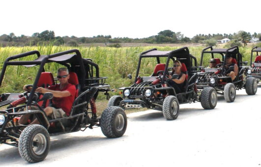 Buggy