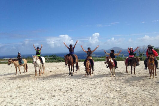 Sortie Cheval