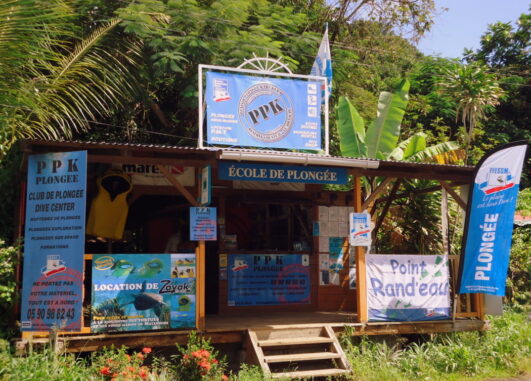 Plongée à la réserve Cousteau avec PPK