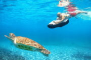caraibe gliss