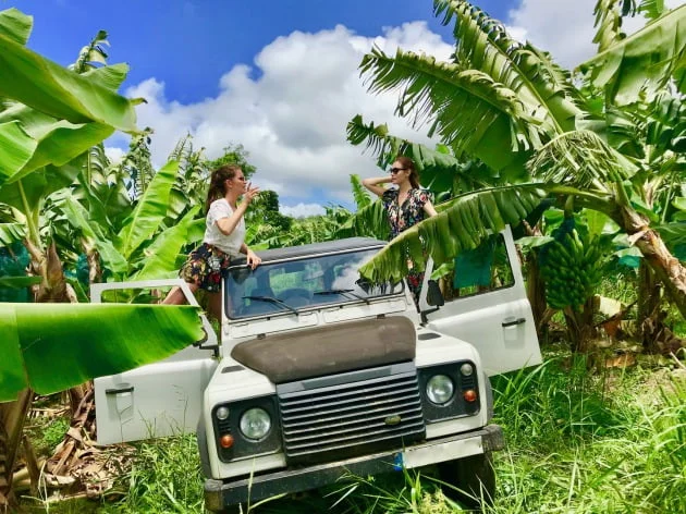 SAFARI CARAIB