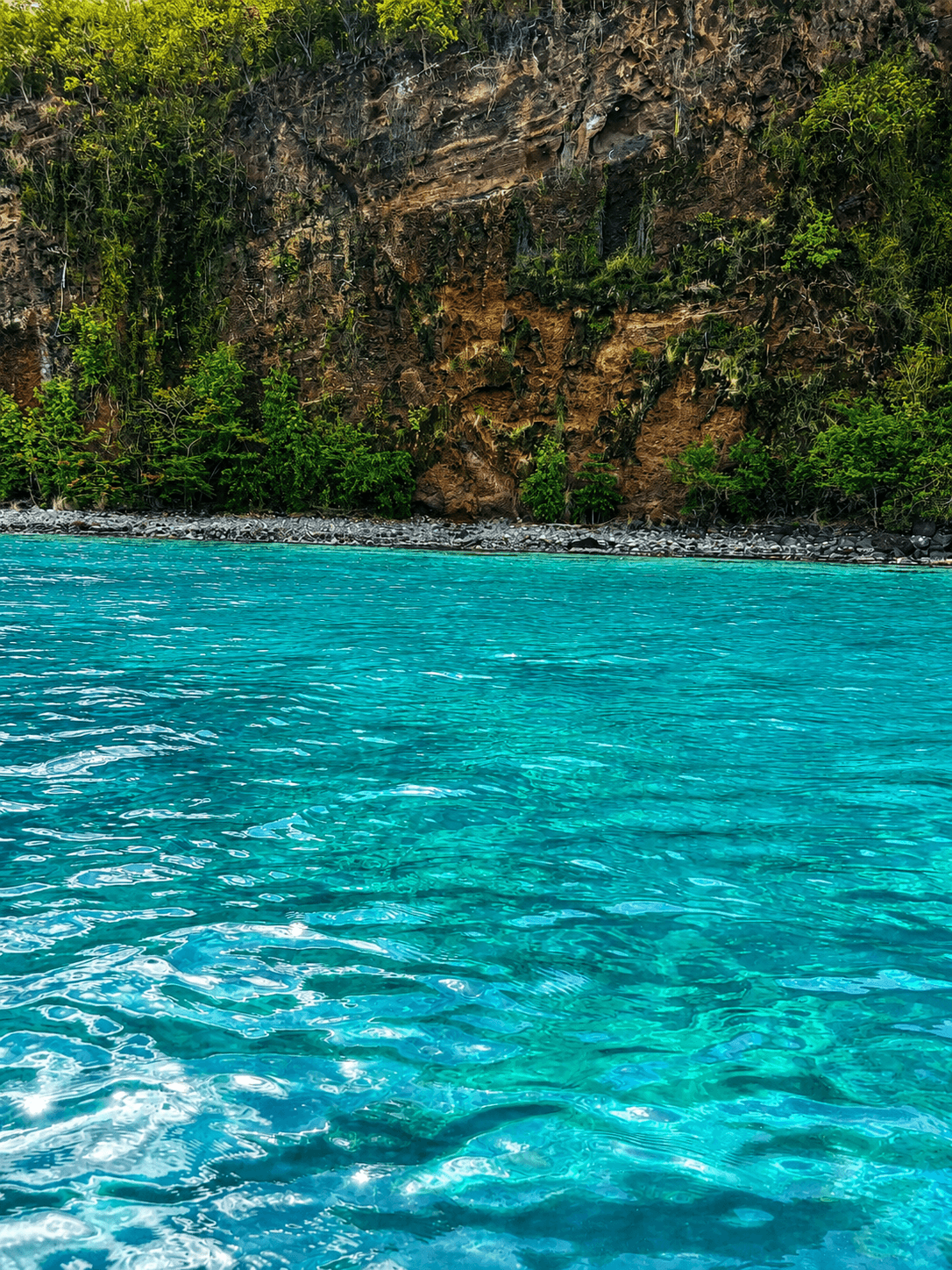 Spot snorkeling à Pointe-Noire en Guadeloupe, avec eau turquoise cristalline, rivage rocheux et végétation tropicale sur la côte sous-le-vent.