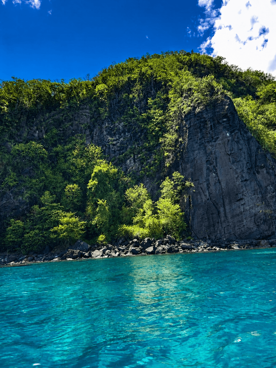 Falaises volcaniques et eau turquoise à Pointe-Noire, sur la côte sous-le-vent en Guadeloupe, près de la Réserve Cousteau.