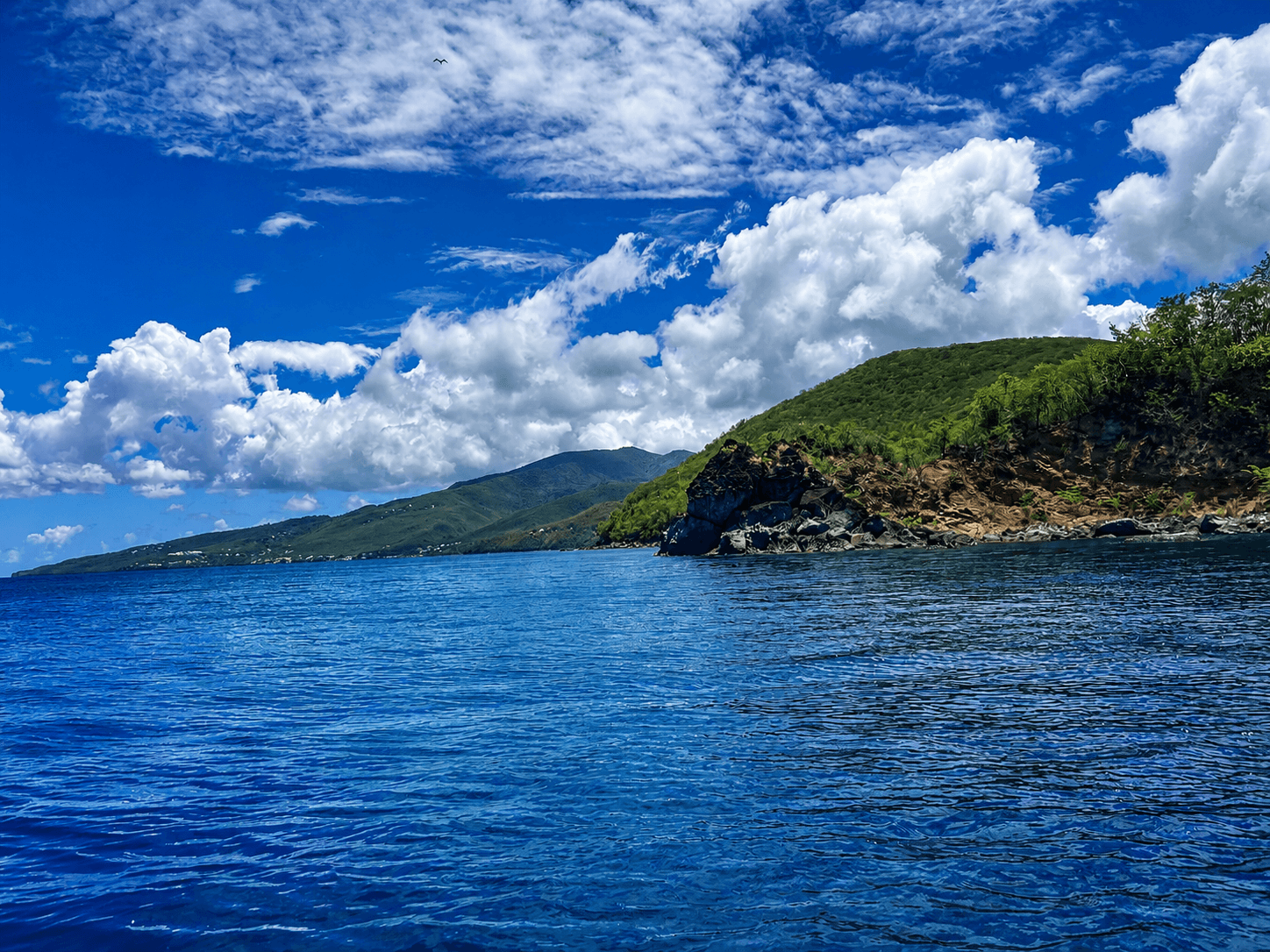 Vue mer depuis Pointe-Noire sur la côte sous-le-vent en Guadeloupe, avec eau bleue, relief tropical, plage Caraïbe et bourg de Pointe-Noire au fond.