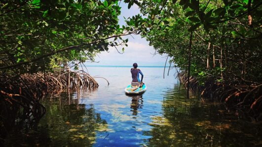 STAND UP PADDLE