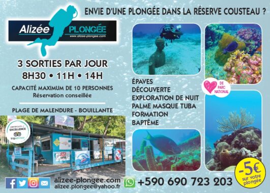 Plongée dans la réserve Cousteau en Guadeloupe | Alizée Plongée