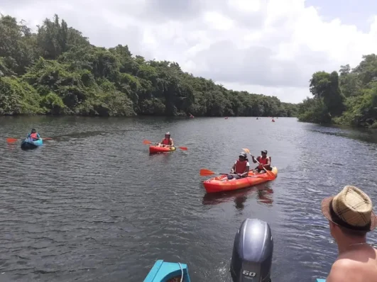 Kayakistes sur la rivière salée avec BD Locations