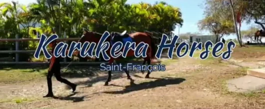 Logo Karukera Horses
