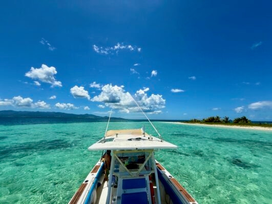 Gwad’Alizés Excursion – Des moments inoubliables en mer !