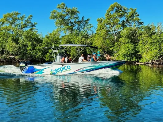 Bateau Serpico Excursions naviguant dans le Grand Cul-de-Sac Marin en Guadeloupe, entouré de mangrove.